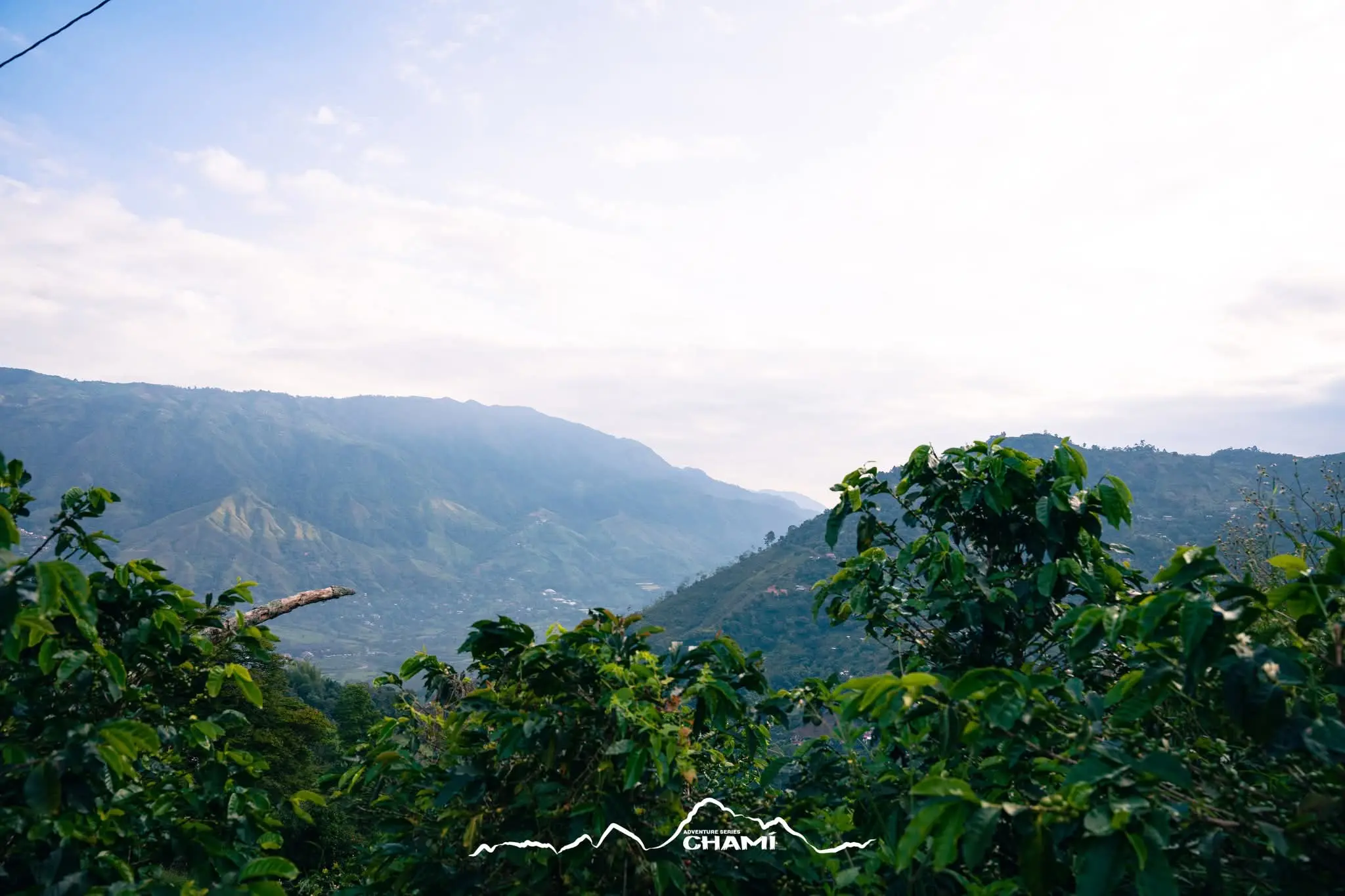 Paisaje de montaña rodeado de vegetación